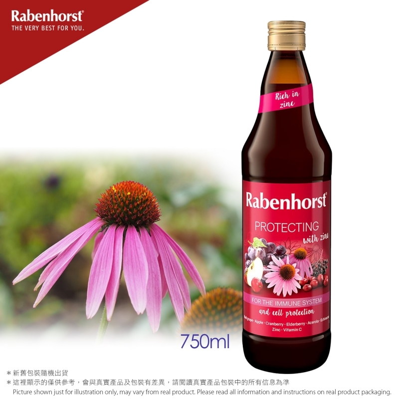德國健寶-紫錐花接骨木莓雜果汁 Protection with Zinc Mixed Juice