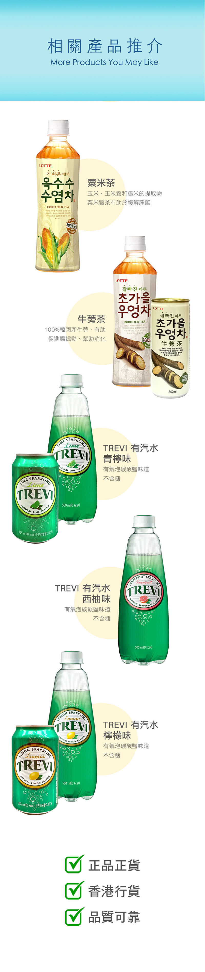 LOTTE 罐裝 牛蒡茶