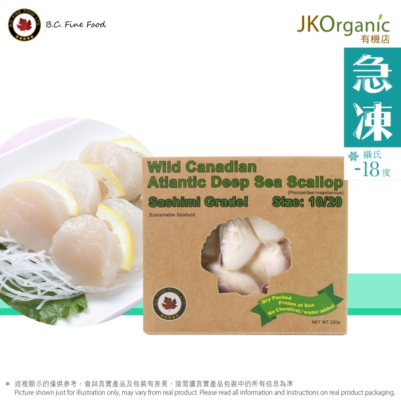 加拿大野生大西洋帶子(刺身級)10/20(急凍) Wild Canadian Atlantic Deep Sea Scallop(Sashimi Grade)10/20(Frozen)