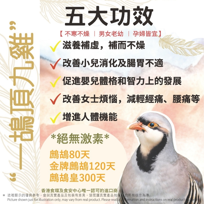 圖2