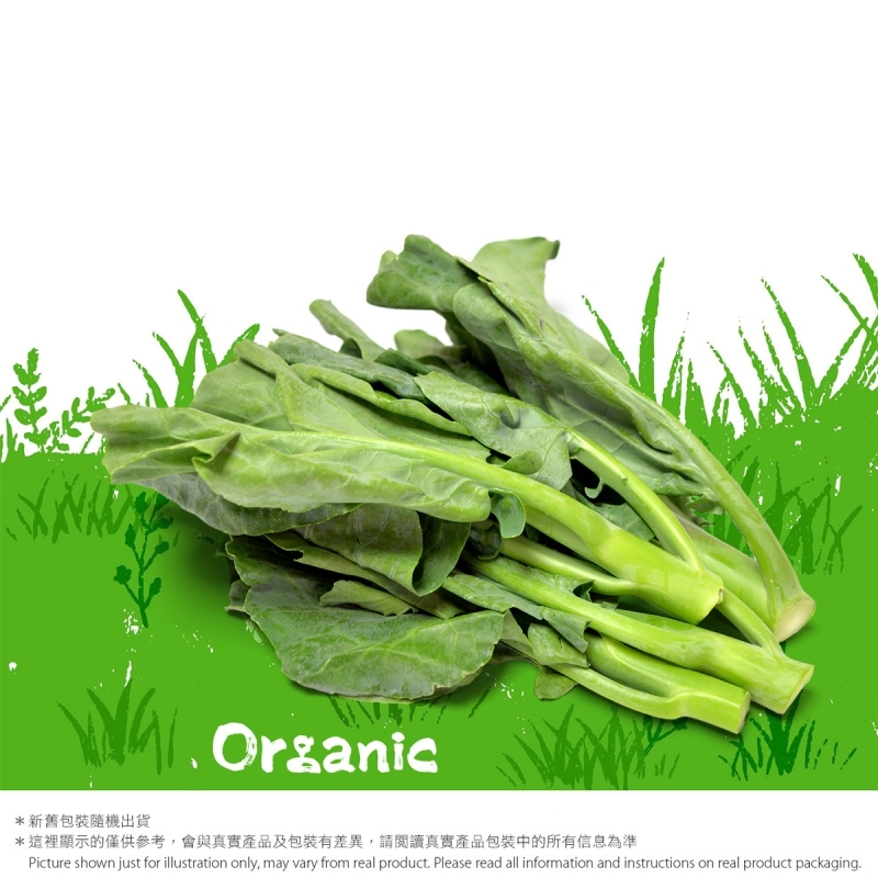 有機芥蘭｜本地有機菜｜有機認證農場 Organic Chinese Kale