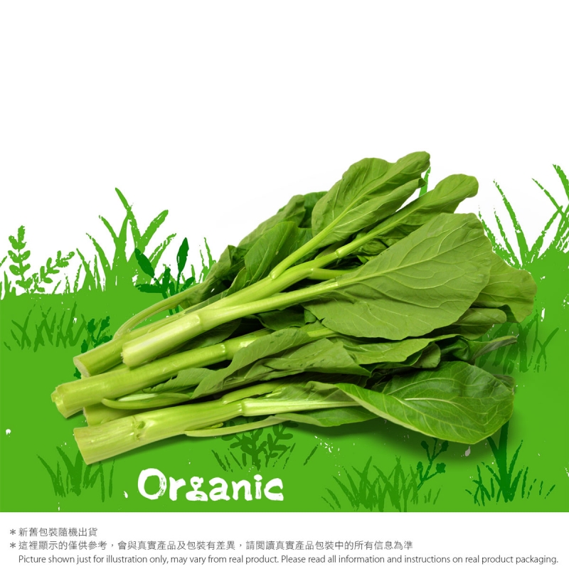 有機菜心｜本地有機菜｜有機認證農場